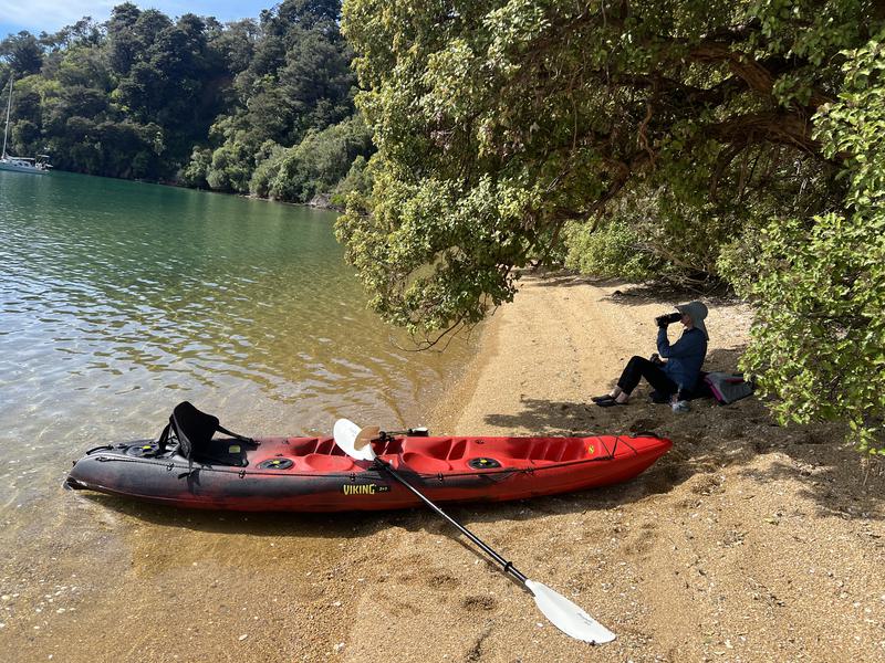 Beach with Kayak in Marlborough Sounds
